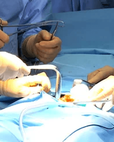 Adult Congenital Heart Disease